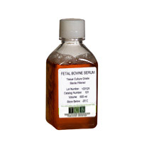 [101  ] FETAL BOVINE SERUM Sterile Filtered