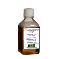 [106] FETAL BOVINE SERUM LOW IgG