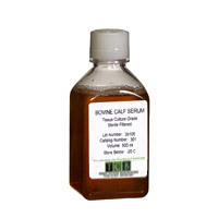 [301] BOVINE CALF SERUM