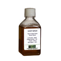 [702] SHEEP (OVINE) SERUM