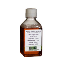 [101 Z] FETAL BOVINE SERUM New Zealand Origin